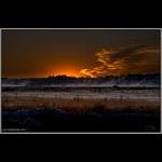 Sunrise at Whitesbog
